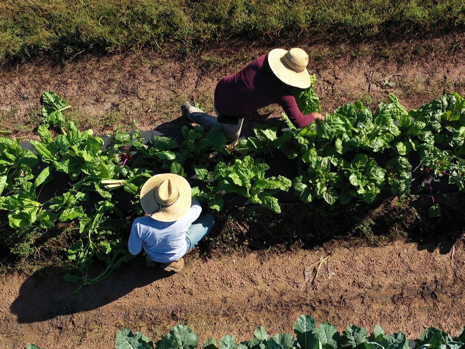 Buylink_Website_Heros (2)