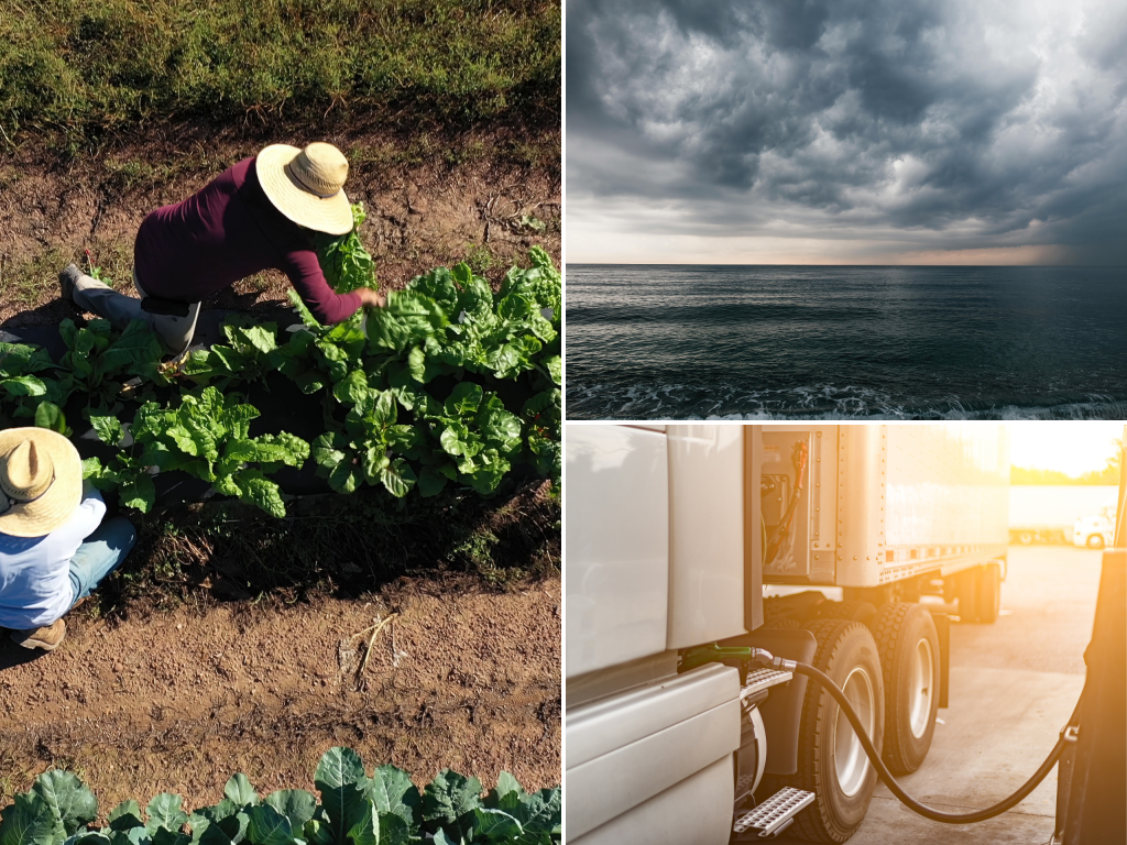 Climate-driven volatility, geopolitical pressures, and surging input costs