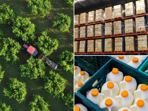 Buylink Services provides a comprehensive procurement solution for the food service industry, specialising in everything from broad-line groceries and fresh perishables—such as dairy, produce, and poultry—to essential consumables and specialised texture-modified foods.