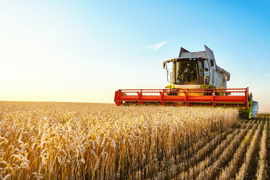 Australian food prices are still tied to global benchmarks. Even if we produce enough beef or grain domestically, export parity pricing means the domestic price is directly benchmarked to what the product sells for on the world market.