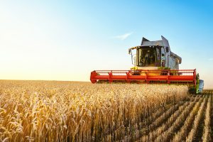 Australian food prices are still tied to global benchmarks. Even if we produce enough beef or grain domestically, export parity pricing means the domestic price is directly benchmarked to what the product sells for on the world market.