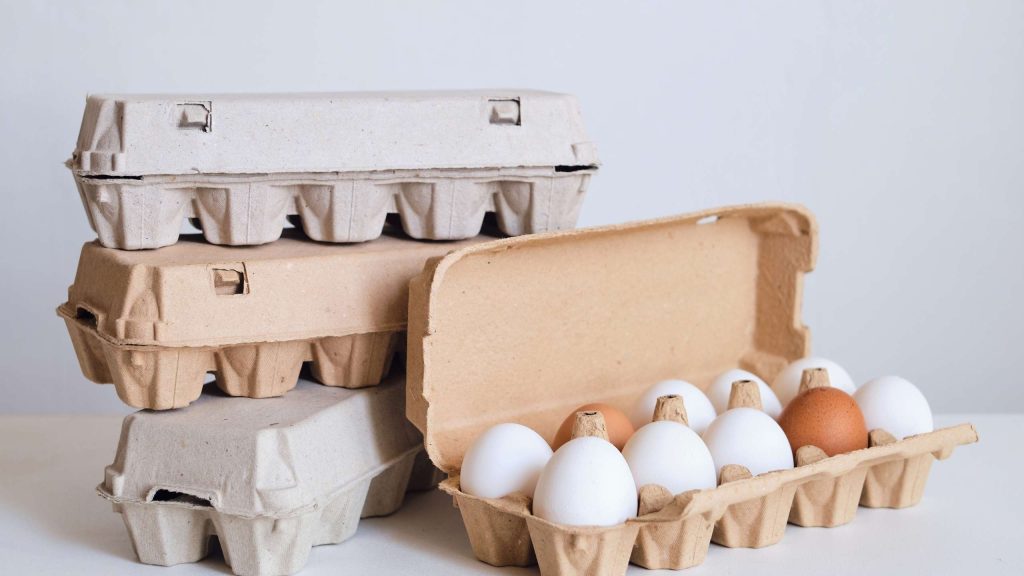 bird-flu-egg-supply-featured
